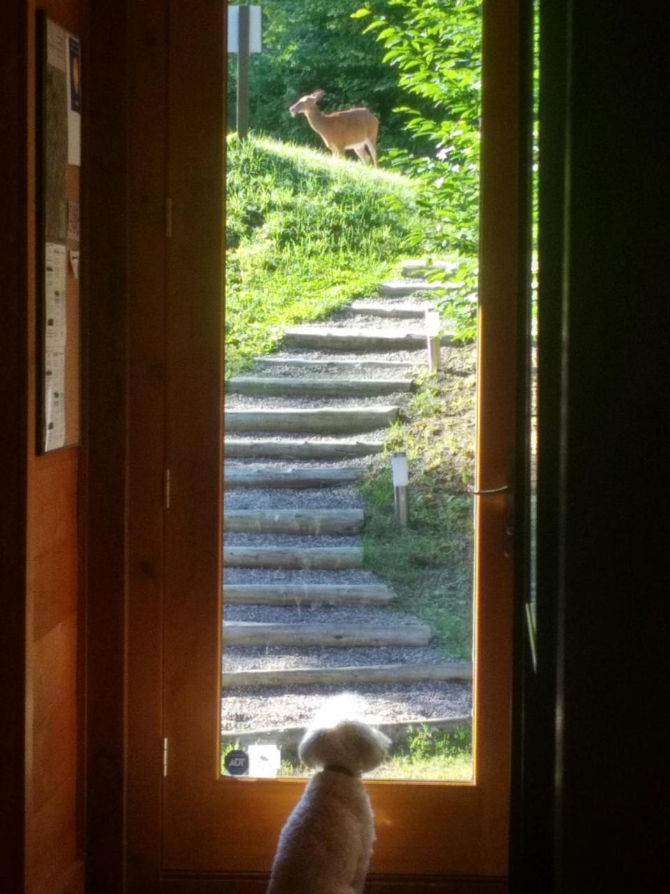 Chalet F116 Mont-Tremblant Nord Lac-Supérieur Extérieur photo